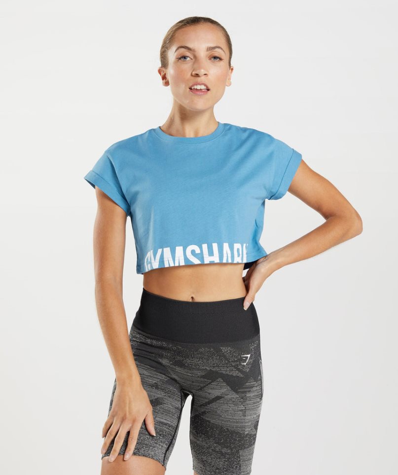 Women\'s Gymshark Fraction Cropped Tops Blue | CA D831A7